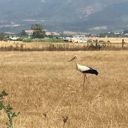 Molino El Mastral * Tarifa