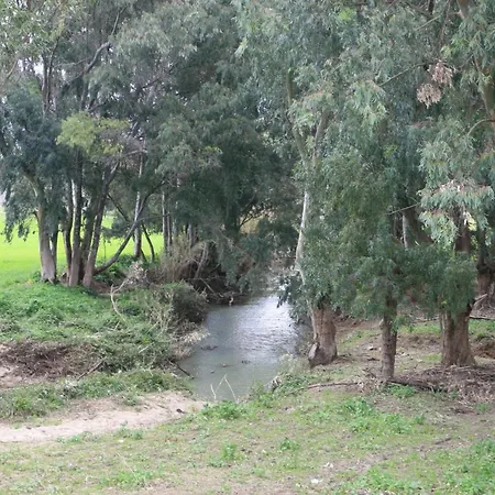 Molino El Mastral *