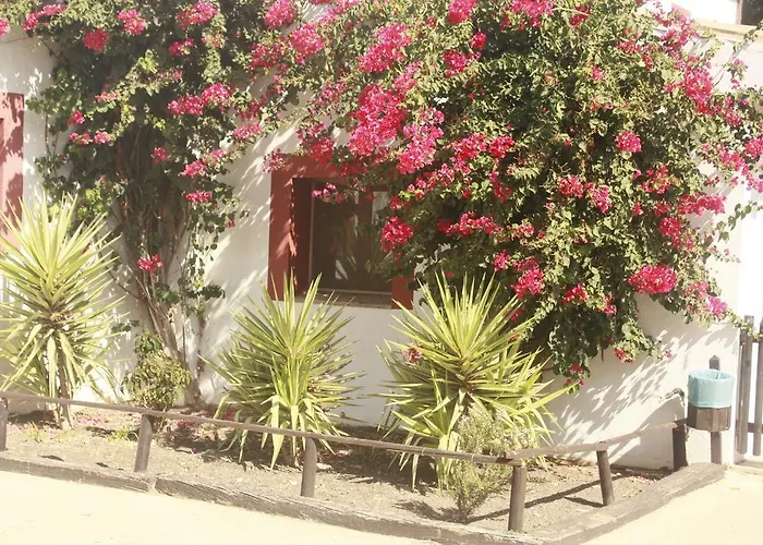 Apartamento Molino El Mastral *