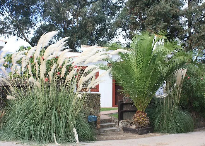 Apartamento Molino El Mastral *