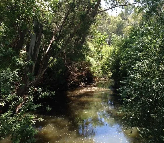 Molino El Mastral