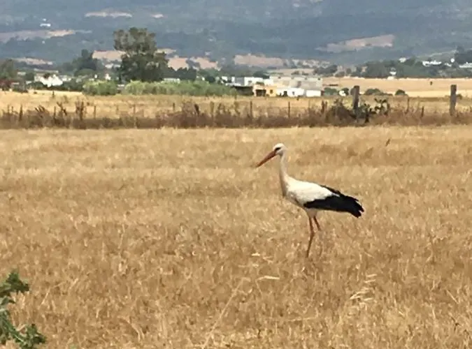 Molino El Mastral * Tarifa